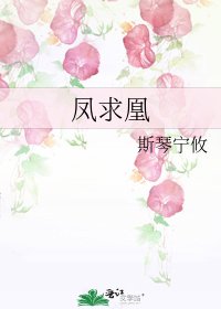 《凤求凰》