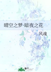 《晴空之梦·暗夜之花》