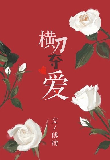 《横刀夺爱》