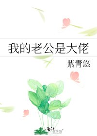 《我的老公是大佬》