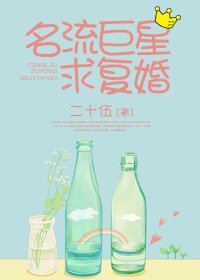 《名流巨星求复婚》