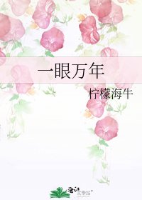 《一眼万年》