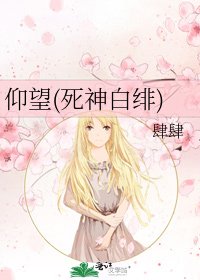 《仰望(死神白绯)》