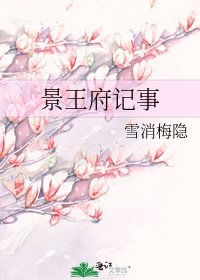 景王府记事