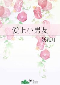 《爱上小男友》