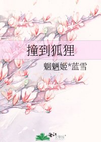 《撞到狐狸》