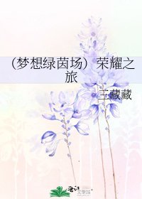 《(梦想绿茵场)荣耀之旅》