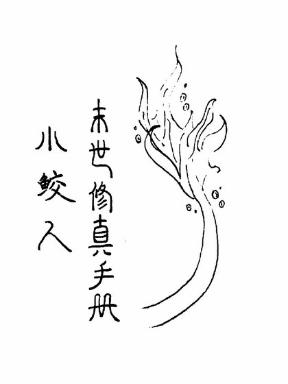 《小鲛人末世修真手册》