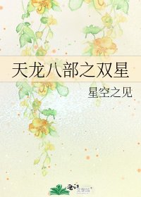 《天龙八部之双星》