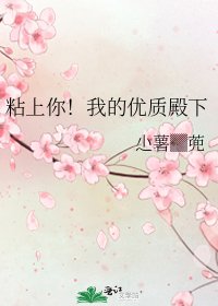 《粘上你!我的优质殿下》
