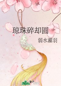《琼珠碎却圆》