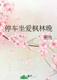 停车坐爱枫林晚