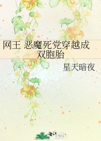 《网王 恶魔死党穿越成双胞胎》