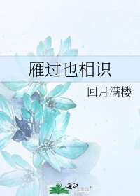 《雁过也相识》