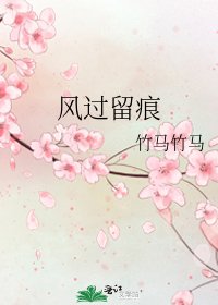 《风过留痕》