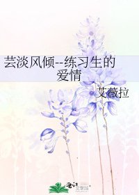 《芸淡风倾--练习生的爱情》
