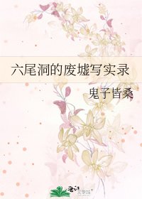 《六尾洞的废墟写实录》