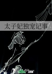 《太子妃獨寵記事》
