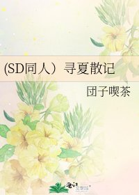 《(SD同人)尋夏散記》