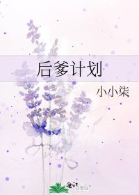 《后爹计划》
