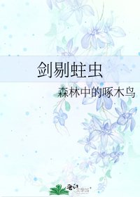 《剑剔蛀虫》