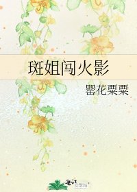 斑姐闯火影