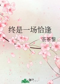 《终是一场恰逢》