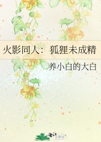 《火影同人:狐狸未成精》