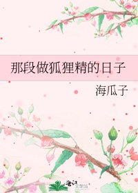 《那段做狐狸精的日子》
