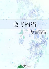 《會飛的貓》
