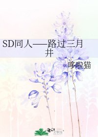 《SD同人——路过三月井》