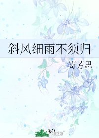 《斜風細雨不須歸》