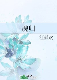 《魂归》