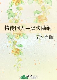 《特传同人—双魂融纳》