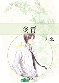 《冬青》