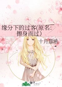 《缘分下的过客(原名:擦身而过)》