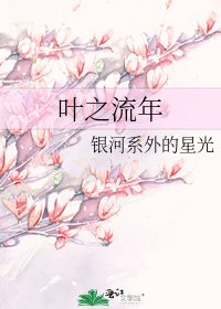 《叶之流年》