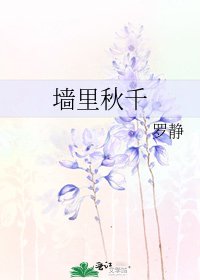 《牆裏鞦韆》