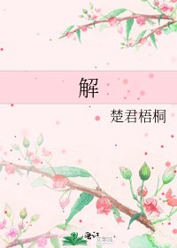 《解》