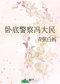 《卧底警察冯大民》