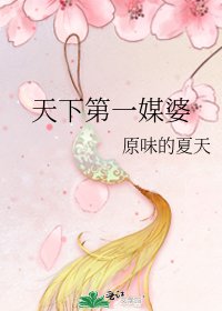 《天下第一媒婆》