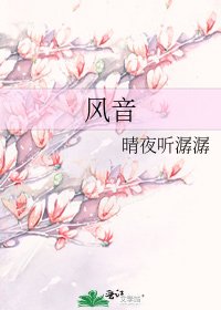 《风音》
