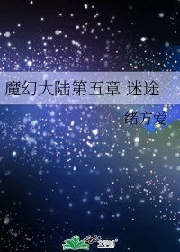 《魔幻大陸第五章 迷途》