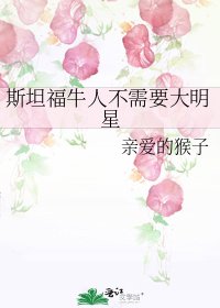 《斯坦福牛人不需要大明星》