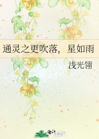 《通灵之更吹落,星如雨》