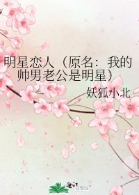 《明星恋人(原名:我的帅男老公是明星)》
