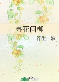 《寻花问柳》