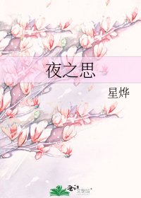《夜之思》