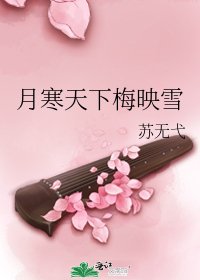 《月寒天下梅映雪》