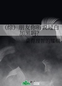 《(综)朋友你听说过白加黑吗?》